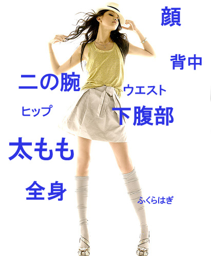 気になる部位から検索